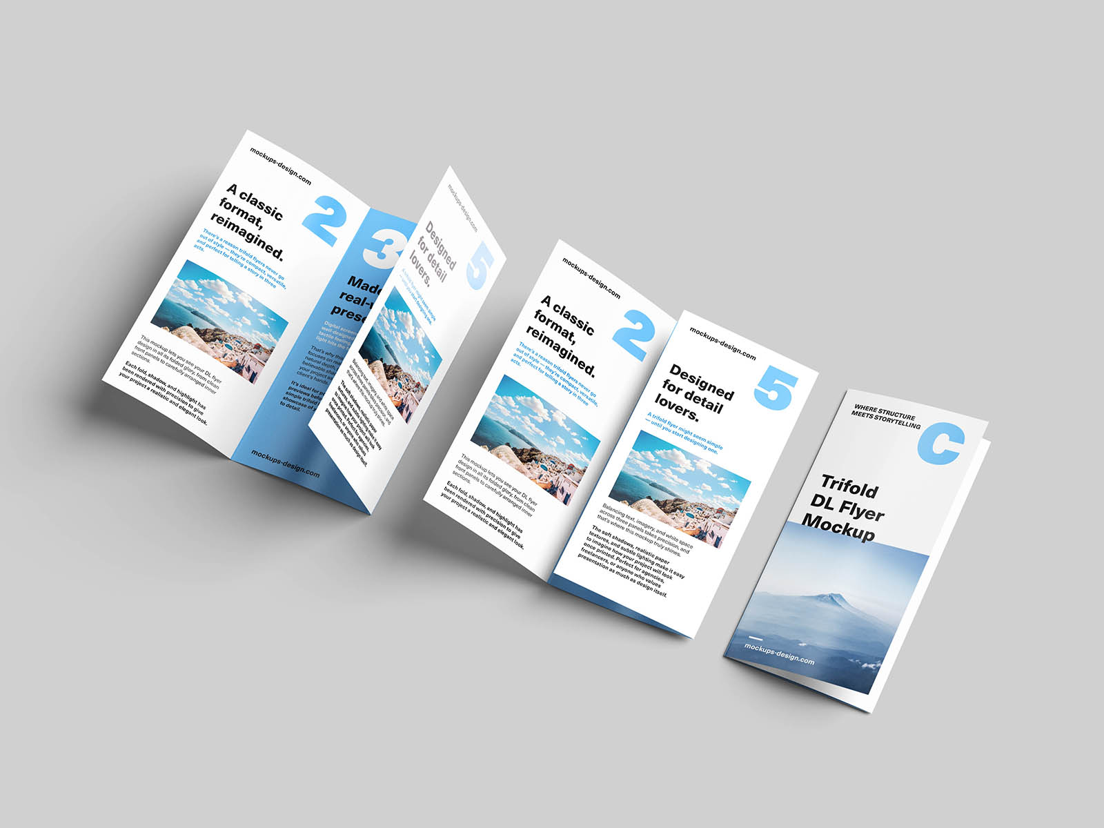 Trifold DL flyer mockup