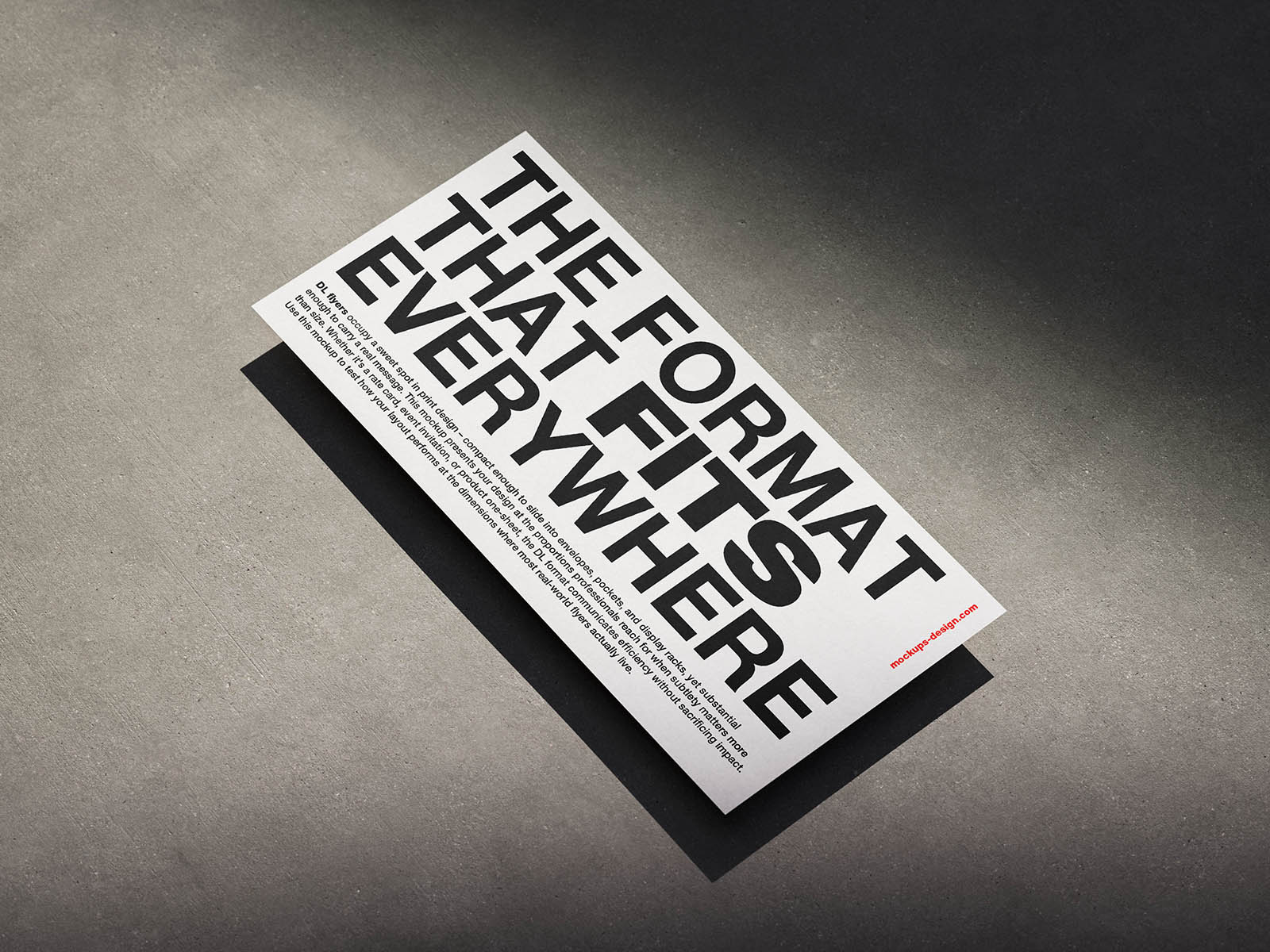 DL flyer on concrete background mockup