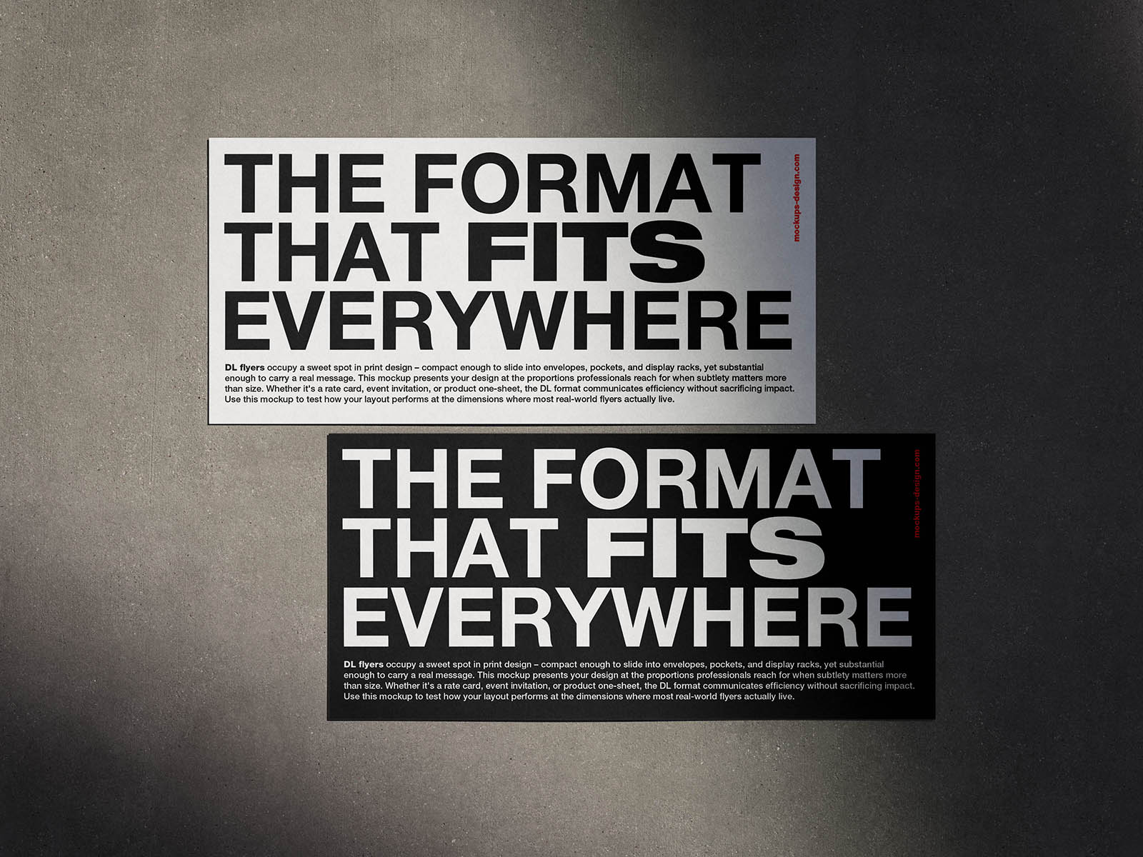 DL flyer on concrete background mockup